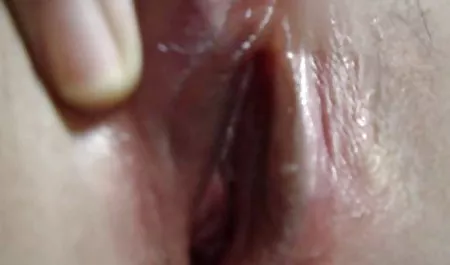 آقای نگرو باهم آمیگو دانلود فیلم کردن الکسیس