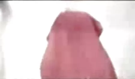 جایزه شیر,خروس,دهان داغ بانوی دانلود رایگان فیلم های الکسیس گربه وحشی پشمالو!