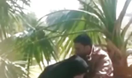 نقطه و کوچک لاتین, هاردکور, دانلود فیلم های سوپر الکسیس هتل