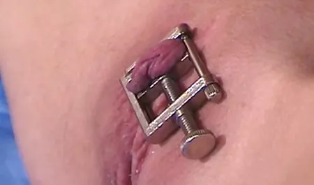 ایمان دانلود عکس الکسیس تگزاس و خدمات..