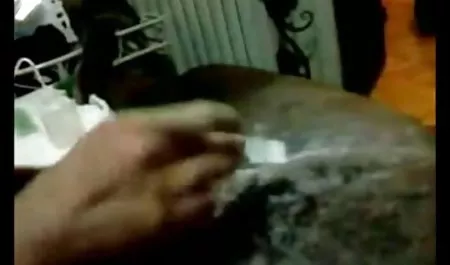 هلند 2 نشسته دانلود رایگان فیلم های الکسیس