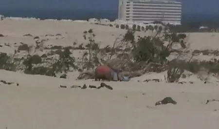 بروکلین سرد, دانلود رایگان فیلم سکسی الکسیس تگزاس فاحشه