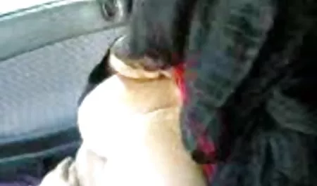 بازی دایی هربرت هی دانلود فیلم xxx الکسیس